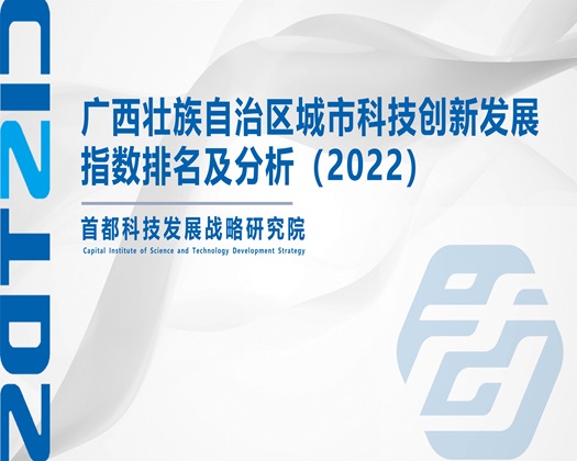 大鸡鸡黄色视频【成果发布】广西壮族自治区城市科技创新发展指数排名及分析（2022）